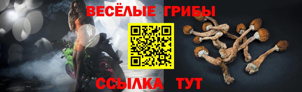 Псилоцибиновые грибы прущие грибы Нальчик
