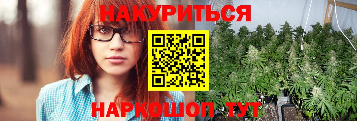 Бошки марихуана OG Kush  Шишки марихуана OG Kush  Вход с VPN  Нальчик 